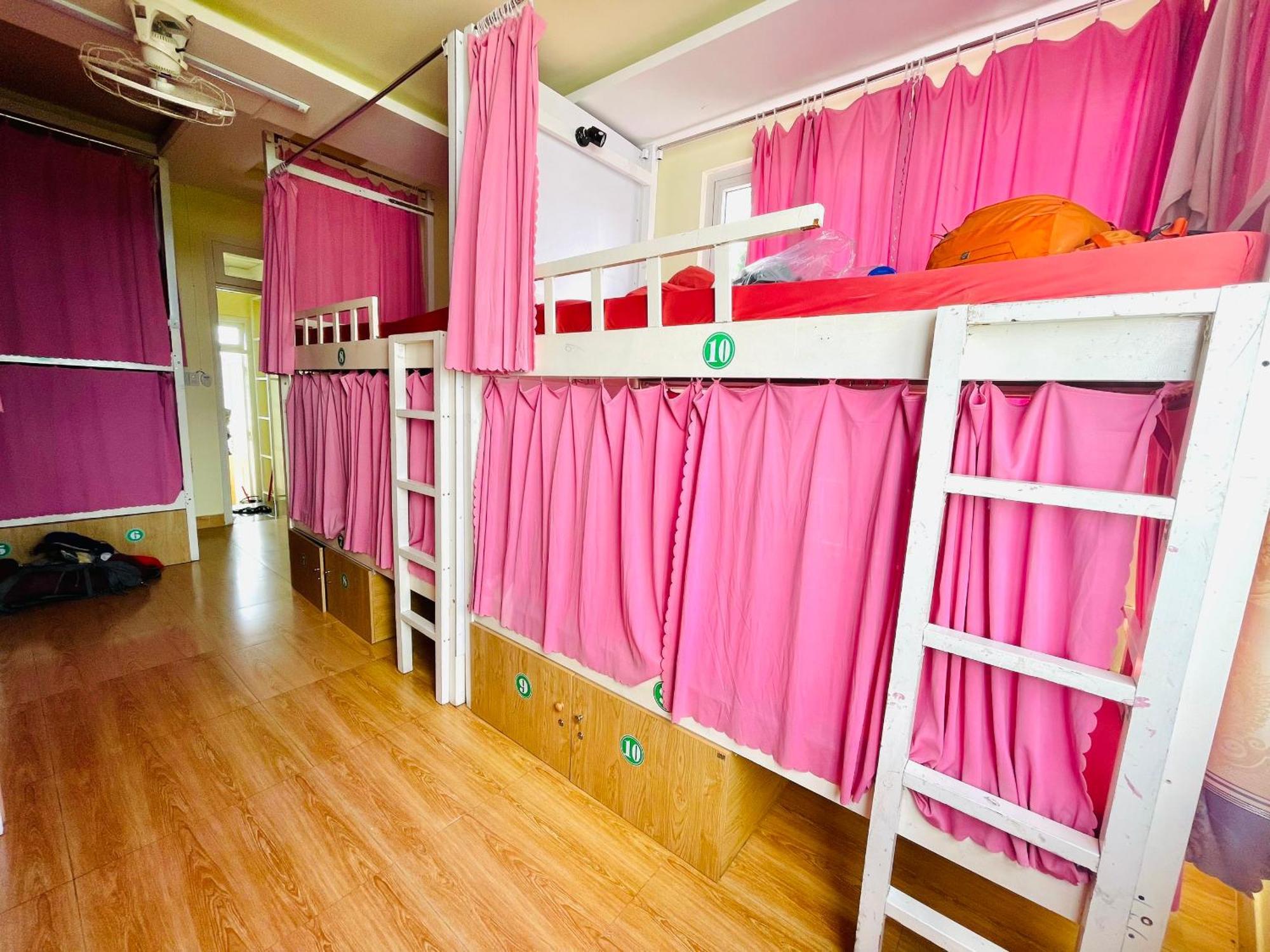 Dalat Backpacker'S Alley Hostel Luaran gambar